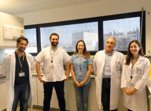 Investigadores del IMIBIC, Reina Sofía y UCO demuestran que el suplemento de magnesio contribuye a mejorar la enfermedad renal crónica
